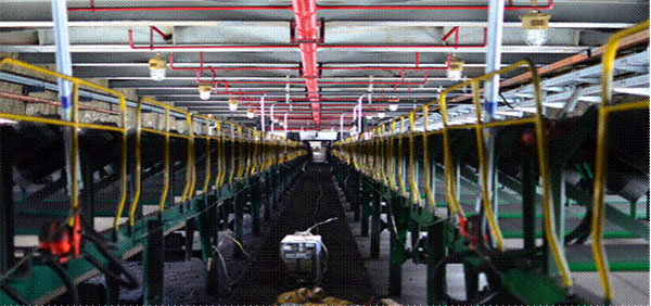 SPL/DZ型消防噴霧自動(dòng)滅火系統(tǒng)裝置